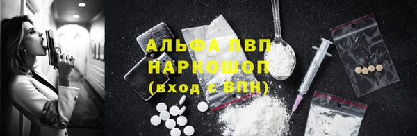 гашик Кодинск