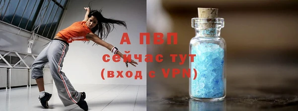 гашик Кодинск