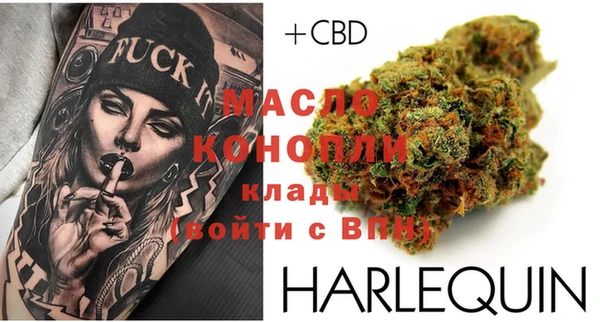 гашик Кодинск