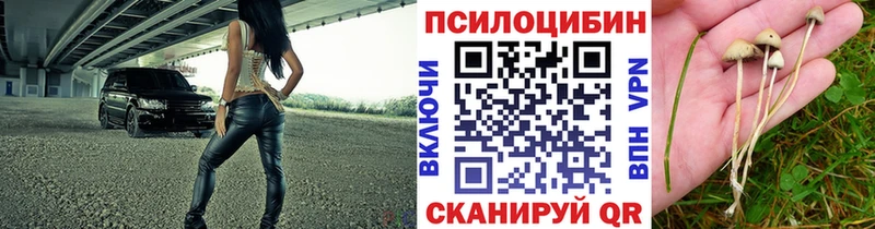 дарнет шоп  blacksprut ссылка  Псилоцибиновые грибы Psilocybine cubensis  Кириллов 